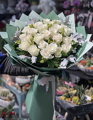 thal beyaz gl 33 adet