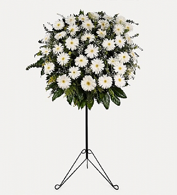 Beyaz Gerberalardan Hazrlanm Ferforje Aranjman