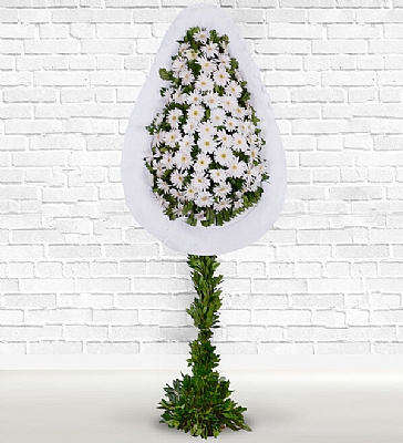  Beyaz Gerbera Sepeti Beyaz gerbera ile hazrlanm tek katl al ve dn elenkleri.