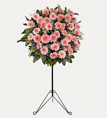 Pembe Gerberalardan Hazrlanm Ferforje Aranjman